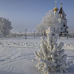 фото "Мороз снежком укутывал"