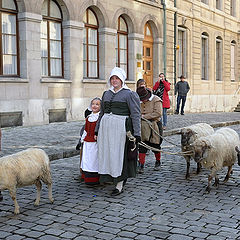 photo "Along the streets the sheep were led..."