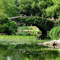 фото ""Central Park... a peaceful place in NYC!!!""