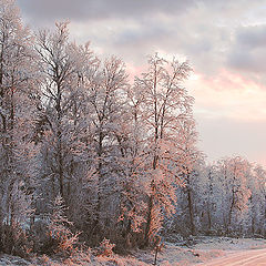 photo "Winter light"