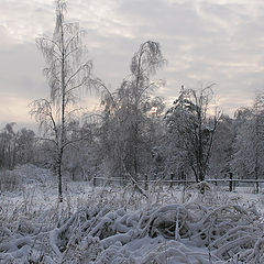 photo "The winter twilight"