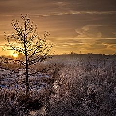 фото "New Day Dawning"