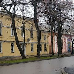 фото "Улица"