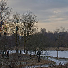 photo "***"