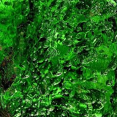 фото "green glass 1"