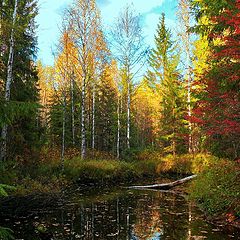 фото "краски осени"