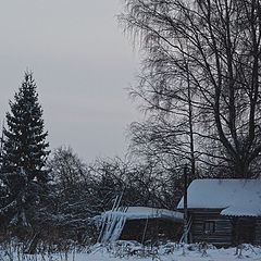 photo "Silent Winter"