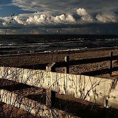 photo "Wind"