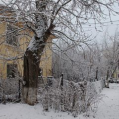 фото "Новогоднее утро."