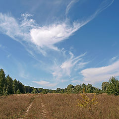 photo "***"