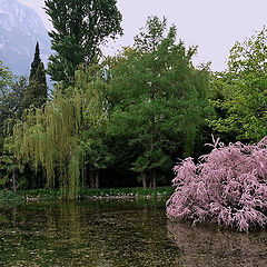 photo "Lake Garda"