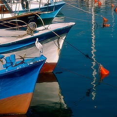 photo "Levantine siesta ..."