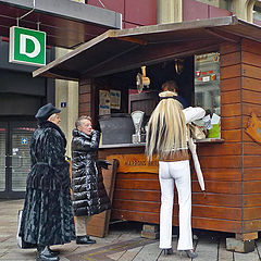 photo "Chestnuts lovers"