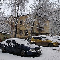 фото "После Новогодней ночи."