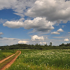 фото "И целое море цветов"