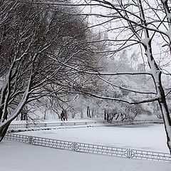 фото "В парке."