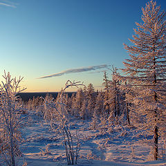 фото "Зимнее утро"