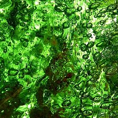 фото "green glass 2"