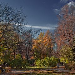 фото "Осень в парке"