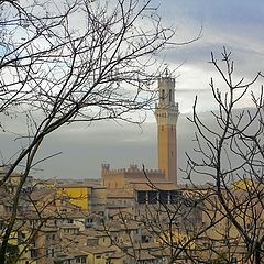 фото "Torre di Siena"