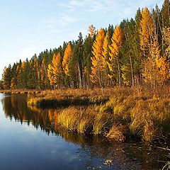 фото "Осенние зеркала Сибири"