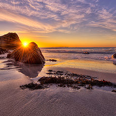 photo "Last stream of light...."