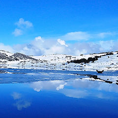 photo "Cold reflection"