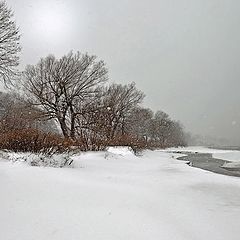 фото "Долгожданный снег"