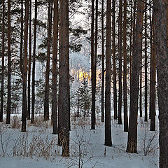 фото "Предзакатная..."