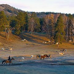 фото "Деревенское утро"