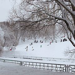 фото "Зима пришла."