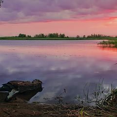 фото "Тихим утром"