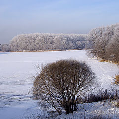 photo "beginning of Winter"