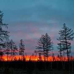 фото "Графика весеннего рассвета"