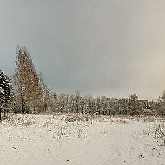 фото "В окресностях Переделкино"