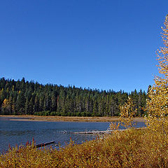 photo "осень золотилась берегами ....."