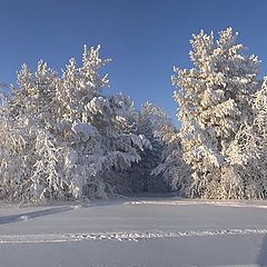 фото "Мороз и солнце..."