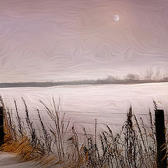 photo "Quiet Moments"