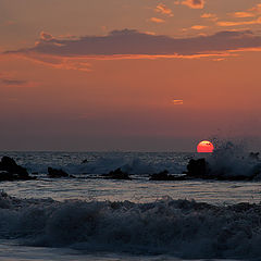 photo "Splashes on the sun"