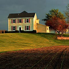 photo "After the Storm"