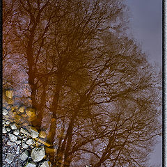 photo "***"