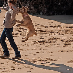 photo "Flying Dog"