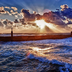 photo "Tel-Aviv 5890"