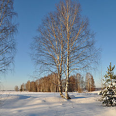 фото "Запах весны"