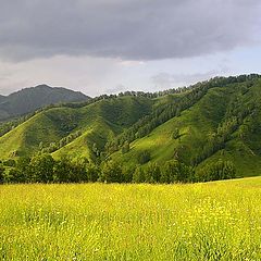 photo "Velvet mountain"