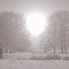 фото "winter morning"