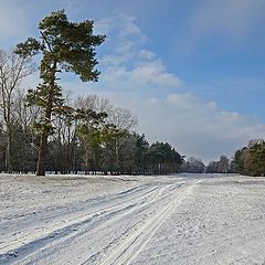 фото "У дороги"