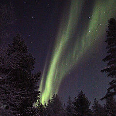 photo "Aurora Borealis"