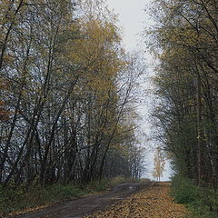 фото "Осенняя дорога"