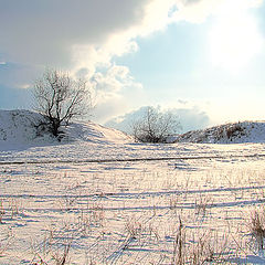 фото "Зимнее солнце"